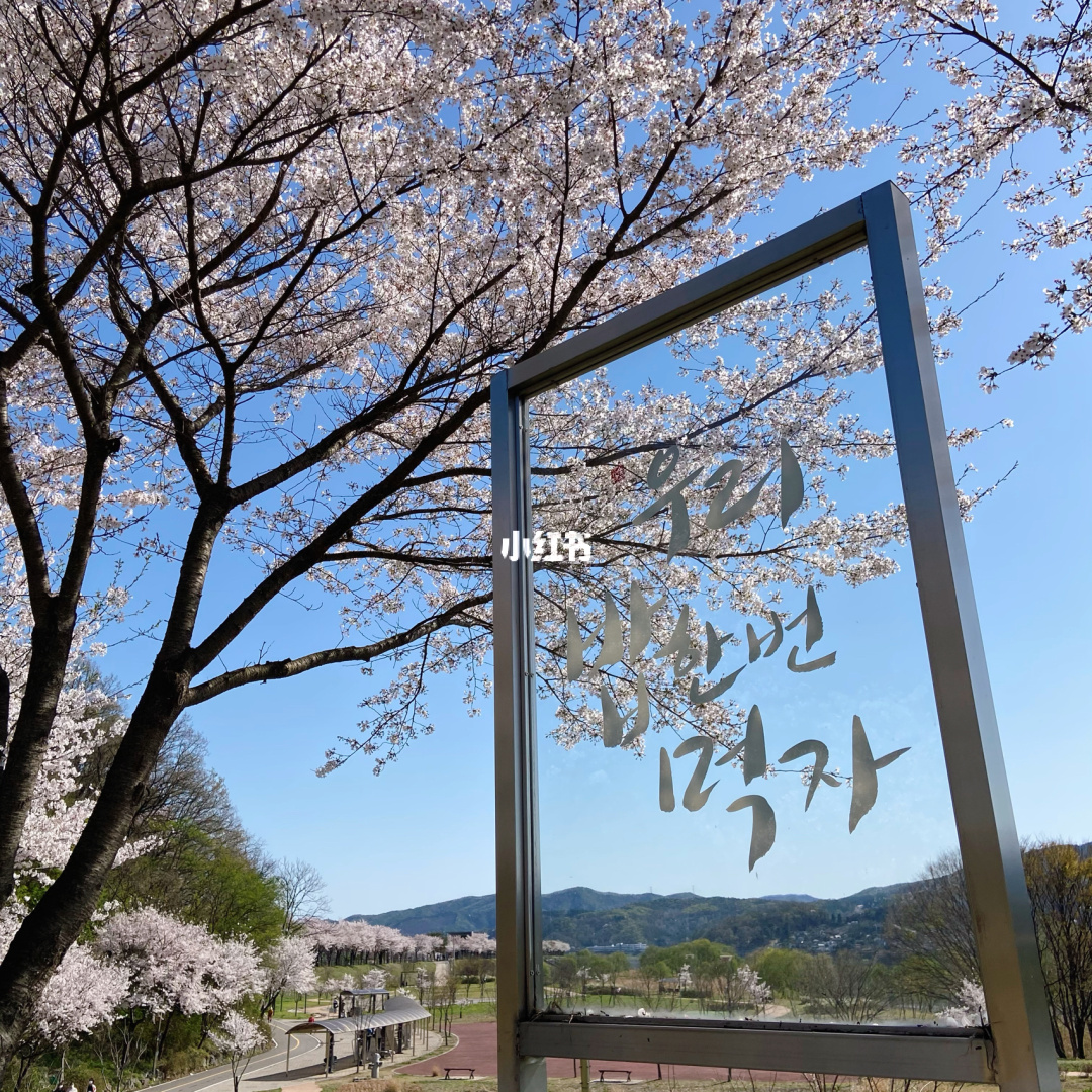 煙臺日語哪家學校不錯_2023煙臺櫻花日語學校_煙臺櫻花日語怎么樣