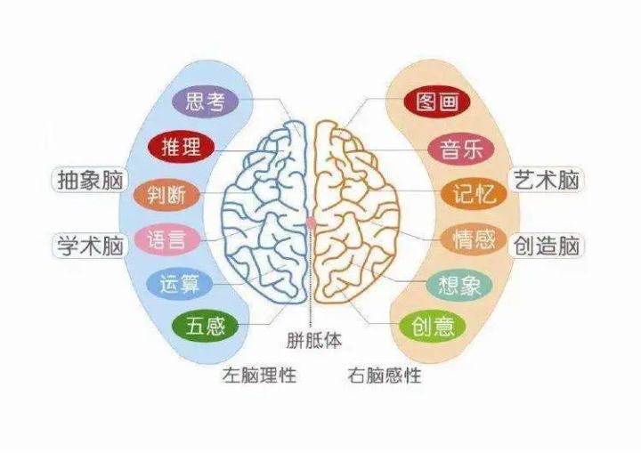 提高記憶力的100個(gè)思維游戲_什么食物提高記憶力_記憶提高大師手機(jī)版