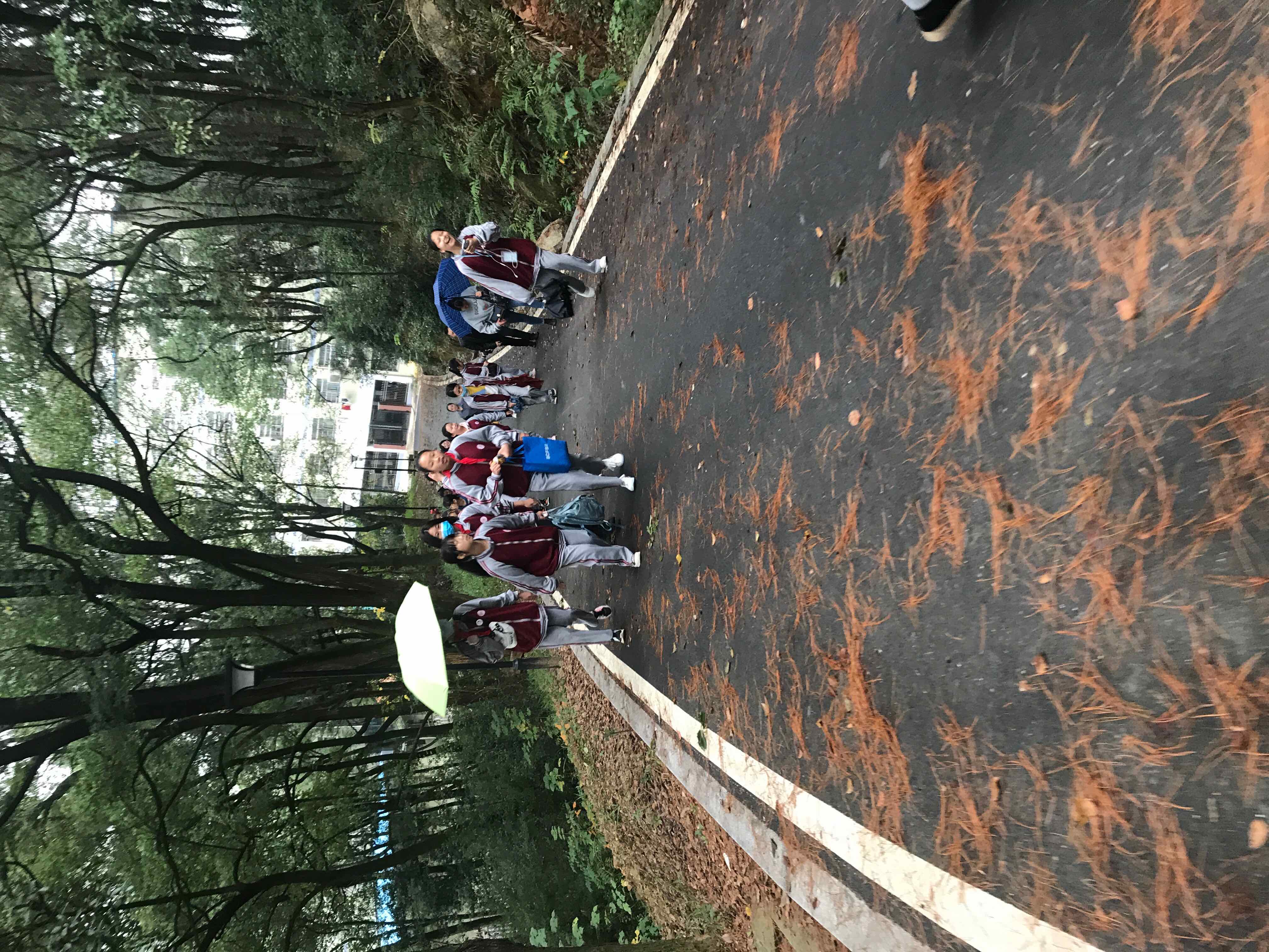 重慶工商大學(xué)自考辦_北京工商大學(xué)分?jǐn)?shù)線_重慶工商大學(xué)怎么樣