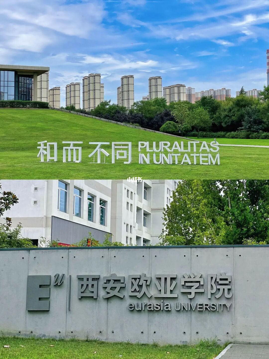 西安會計服務大廳地址_西安市會計網_西安會計服務大廳官網
