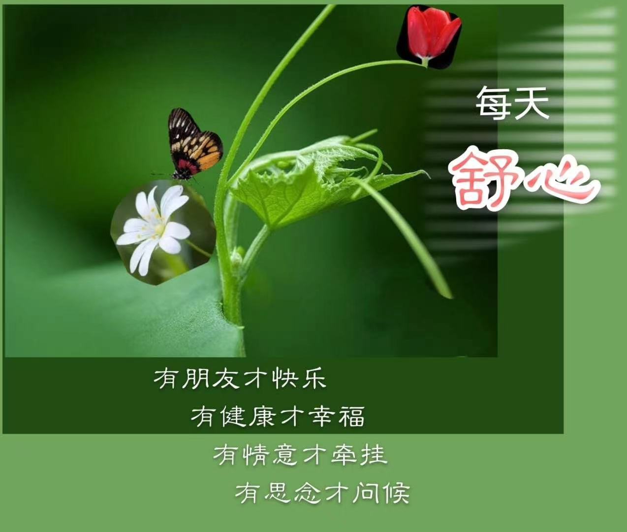 小朋友一起長大的友誼句子_致一起長大的友誼句子_關于友誼的句子