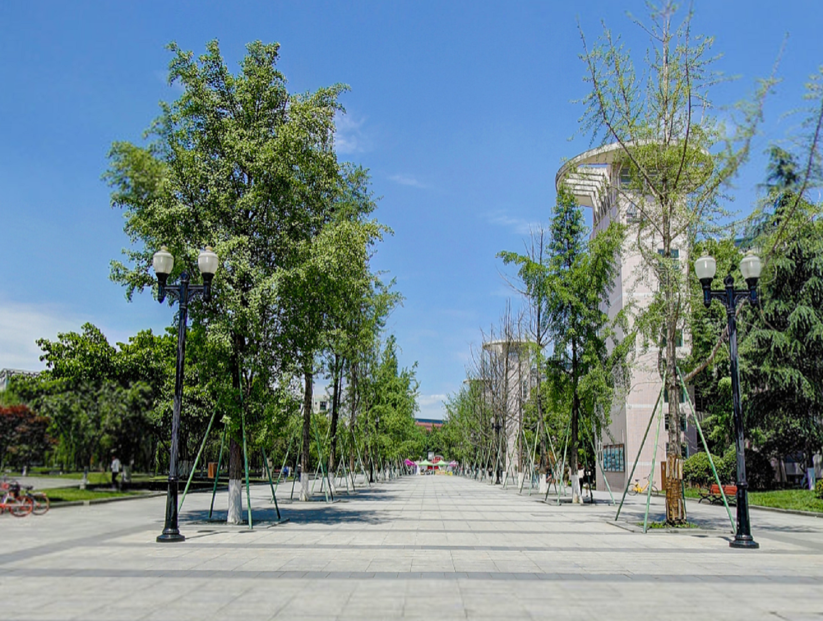 四川二專學(xué)校_四川專科學(xué)校專業(yè)有哪些_四川學(xué)校專科學(xué)校