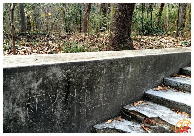 茶花女好詞好句_茶花女好詞好句摘抄_茶花女好詞好句及感悟