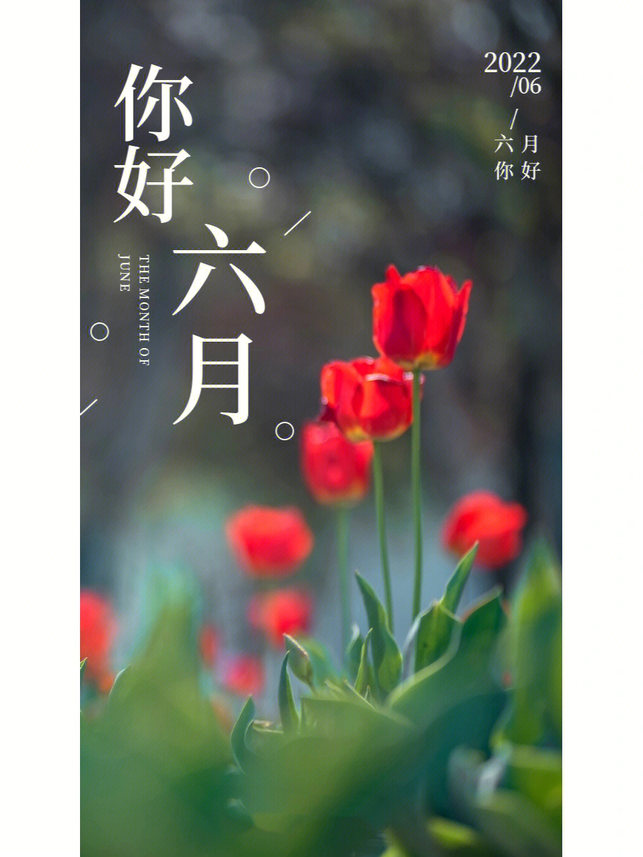 唯美圖片月牙意境_七月圖片唯美_唯美圖片月亮