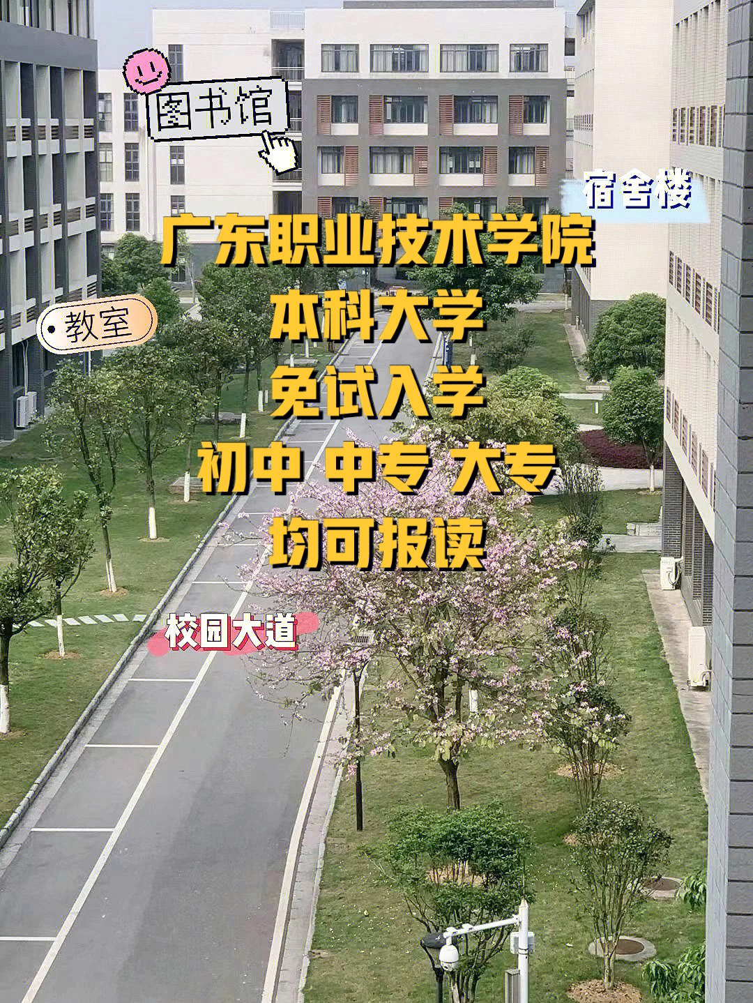 專(zhuān)科廣州學(xué)校有哪些_廣州專(zhuān)科_廣州的專(zhuān)科學(xué)校