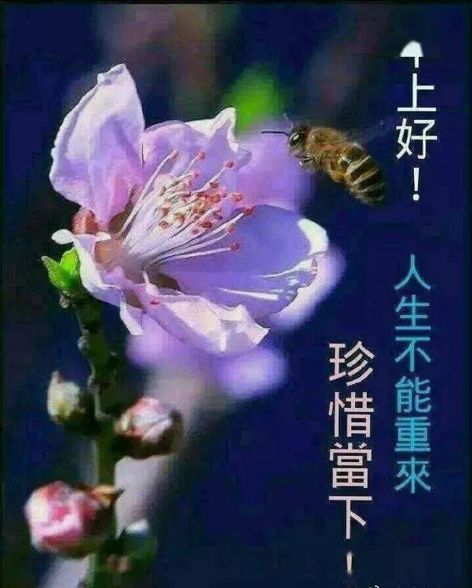 建軍節(jié)祝福語(yǔ)言_2021年建軍節(jié)的祝福語(yǔ)_建軍節(jié)祝福語(yǔ)