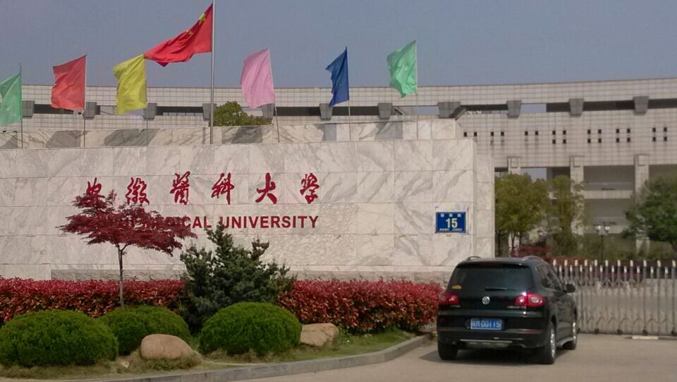 全國排名前十的本科大學_全國三本大學排名_全國大學排名本科