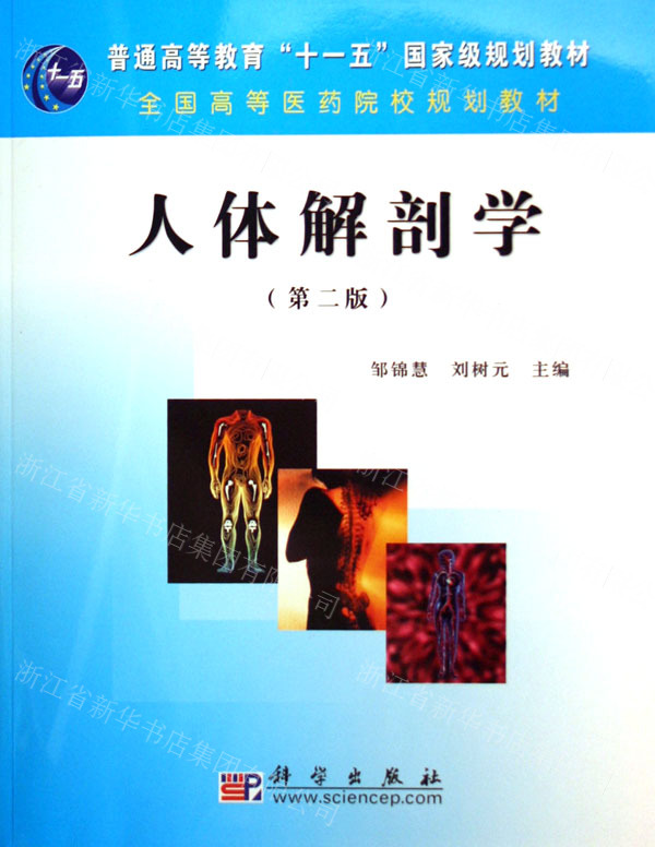 山東省中醫(yī)藥高等_山東省高等中醫(yī)藥學校_山東高中醫(yī)藥高等?？茖W校