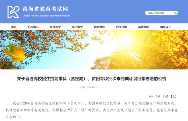 云南省招生考試工作網(wǎng)_云南省招生考試工作網(wǎng)登陸入口_云南考試招生工作網(wǎng)ie瀏覽器