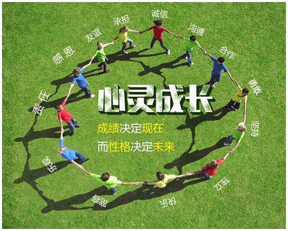 單招考試成績在哪查_在哪查單招考試錄取結果_怎樣查單招考試成績分數