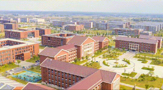 東莞理工學院學生工作管理系統_東莞理工學院學生管理系統_東莞理工學院學生處