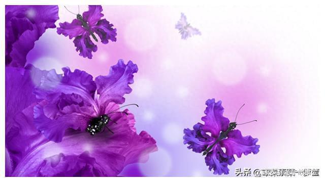 最打動人心的祝福語_打動人心語祝福語大全_打動人心語祝福語怎么說