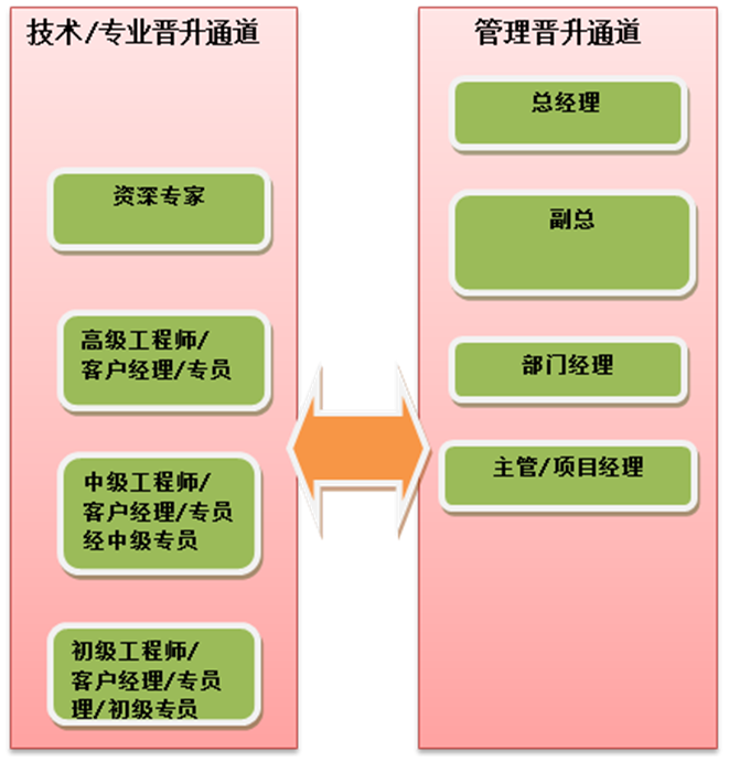 人力資源年度工作計劃及思路_人力資源年度工作總結及計劃_2024年人力資源二級