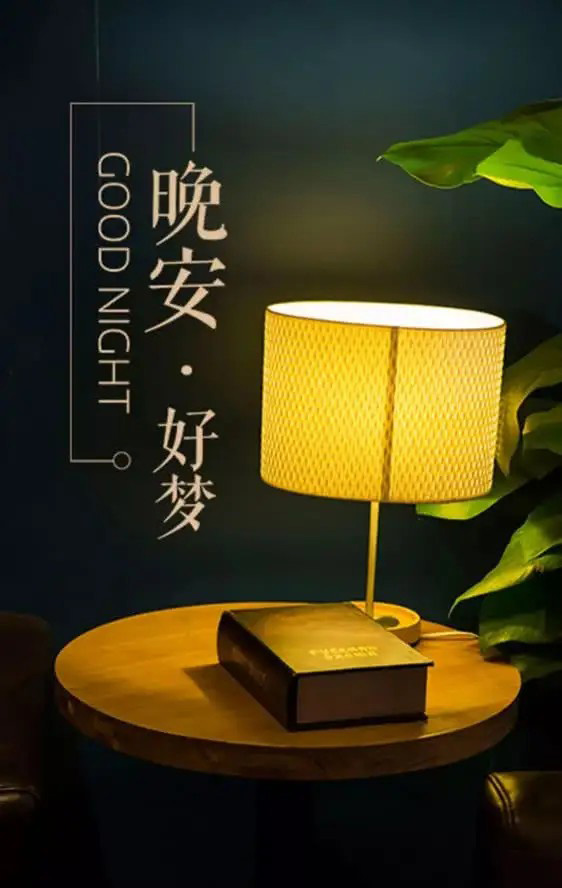 夜晚句子描寫(xiě)小說(shuō)片段_小說(shuō)寫(xiě)夜景的句子_小說(shuō)描寫(xiě)夜晚的句子