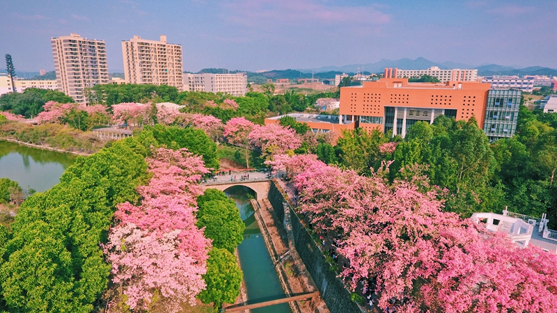 廣州大學(xué)華軟軟件學(xué)院怎么樣_廣州大學(xué)華軟軟件技術(shù)學(xué)院_廣州大學(xué)學(xué)院華軟軟件學(xué)院