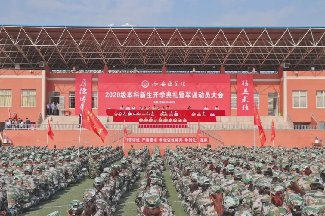 河南的技校有哪些_河南技校有什么專業_河南技校有編程專業嗎