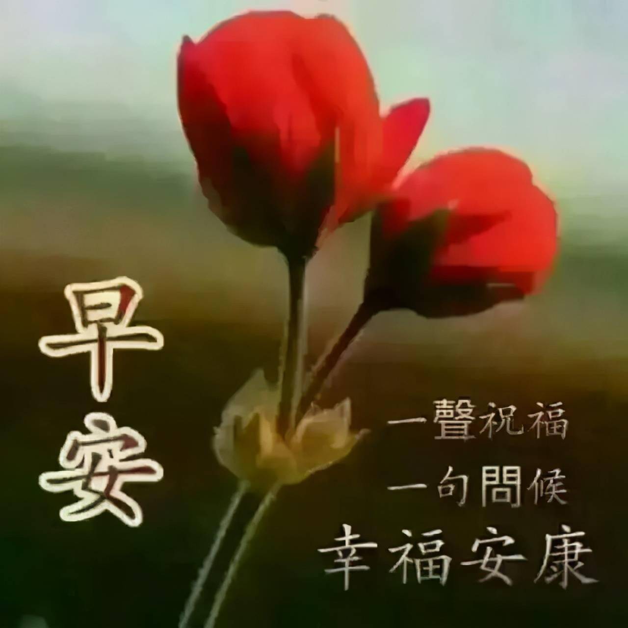 簡潔中秋大氣語祝福語大全_中秋節簡潔大氣的祝福語80句_中秋祝福語簡潔大氣