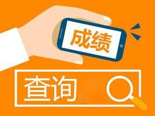 會計從業資格考試成績查詢_從業會計資格查詢考試成績網站_會計從業資格證查成績