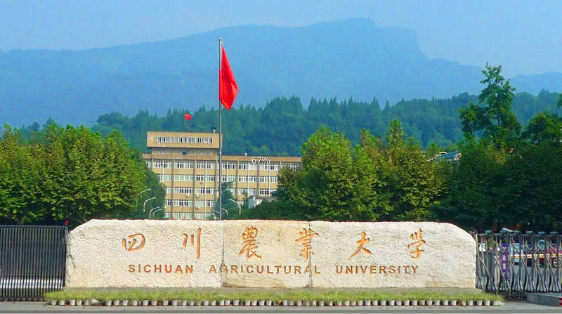 錄取地方專項是什么意思_地方專項計劃錄取規則_錄取專項規則地方計劃是什么