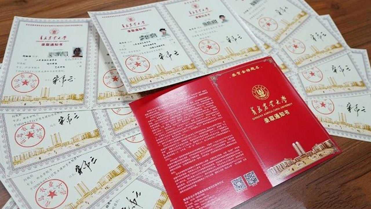 山東錄取結(jié)果查詢_錄取查詢山東結(jié)果怎么查_山東錄取結(jié)果查詢網(wǎng)址