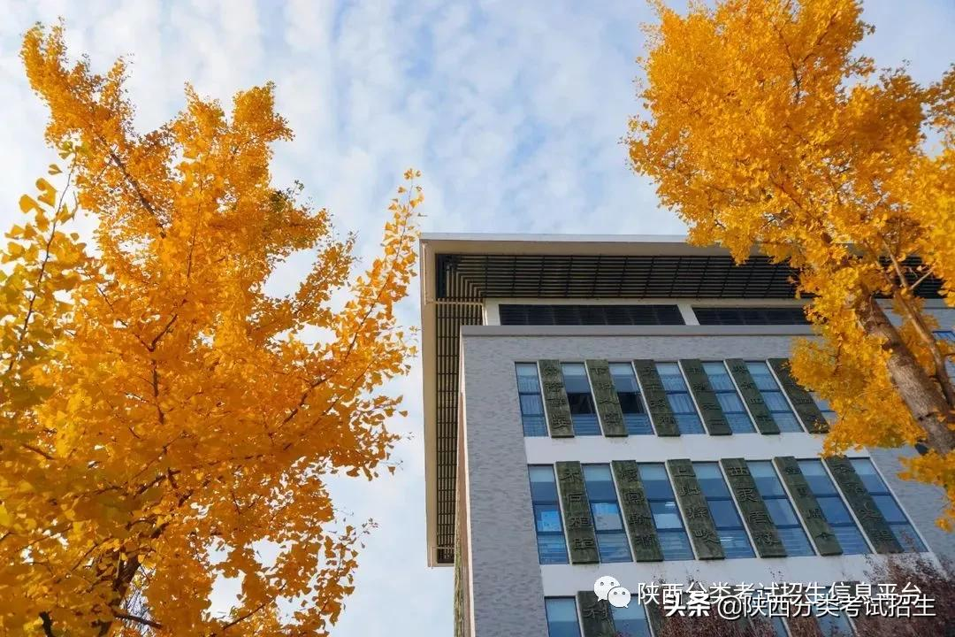 宜賓學院高職單招_宜賓職業學院單招專業_宜賓職業技術學院單招