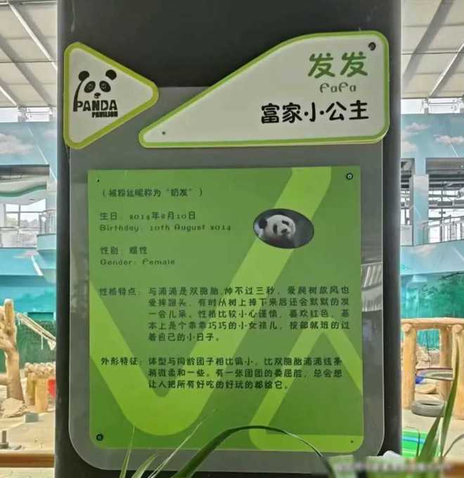 弟弟藏了姐姐高考準考證_弟弟高考姐姐穿什么衣服_弟弟藏姐姐高考準考證姐姐回應(yīng)