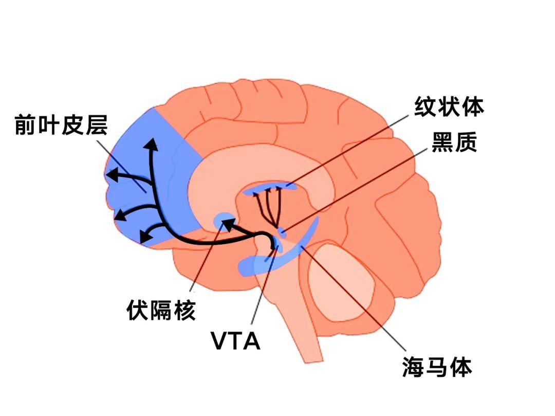 峰回路轉造句_造句回路峰轉的句子_峰回路轉的短語結構
