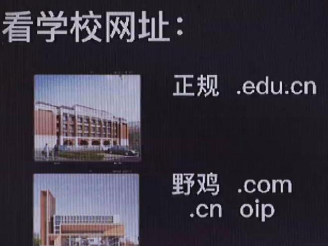 鼎石國際學(xué)校學(xué)費_鼎石國際學(xué)校學(xué)費一年_鼎石國際學(xué)校招生簡章