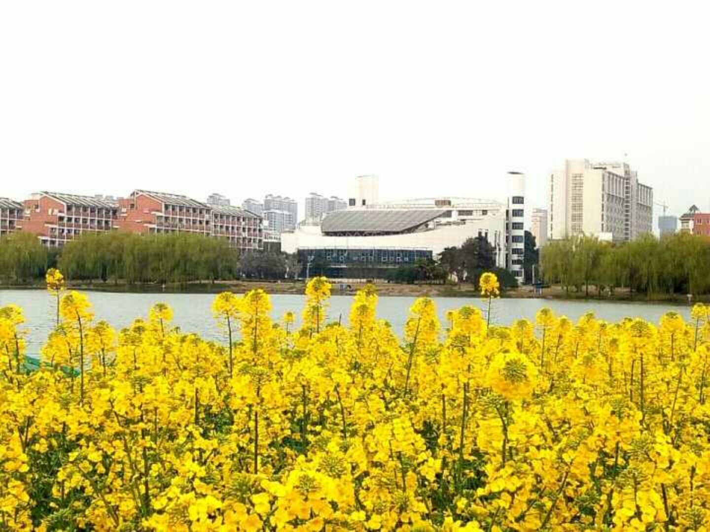 安徽蕪湖教育網_安徽省蕪湖市教育網_安徽蕪湖教育局最新通知