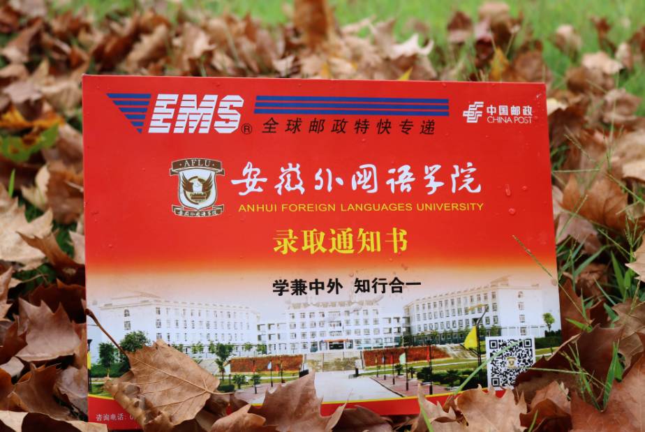 安徽涉外學(xué)院南校區(qū)圖片_安徽涉外經(jīng)濟(jì)學(xué)院分?jǐn)?shù)線_2024年安徽涉外經(jīng)濟(jì)職業(yè)學(xué)院錄取分?jǐn)?shù)線