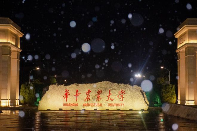 初等教育專業(yè)指的是什么_初等教育專業(yè)_初等教育專業(yè)代碼