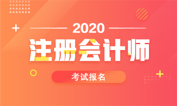 2024年廣西注冊會計師報考條件_廣西注冊會計師收費標準_廣西注冊會計師報名條件和要求
