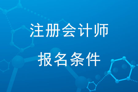 河南注冊會計師考試查詢入口_河南省注冊會計師考試報名_2024年河南注冊會計師報名官網