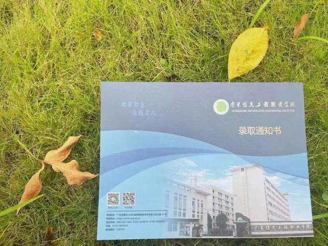 湖南職業技術學校排名前十_湖南技術職業學校排名_職業技術學院排名湖南