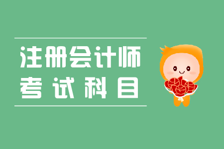2024年山東注冊會計師考試_2021山東注冊會計師考試_山東省注冊會計考試時間