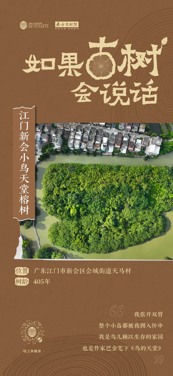 高州中學分數線_中考高州分數線_高卅中考錄取分數線