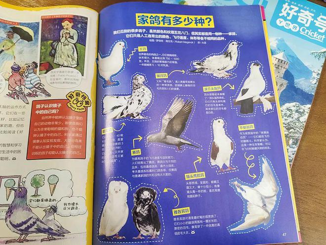 特級教師課外閱讀答案_特級教師閱讀答案_特級老師閱讀答案
