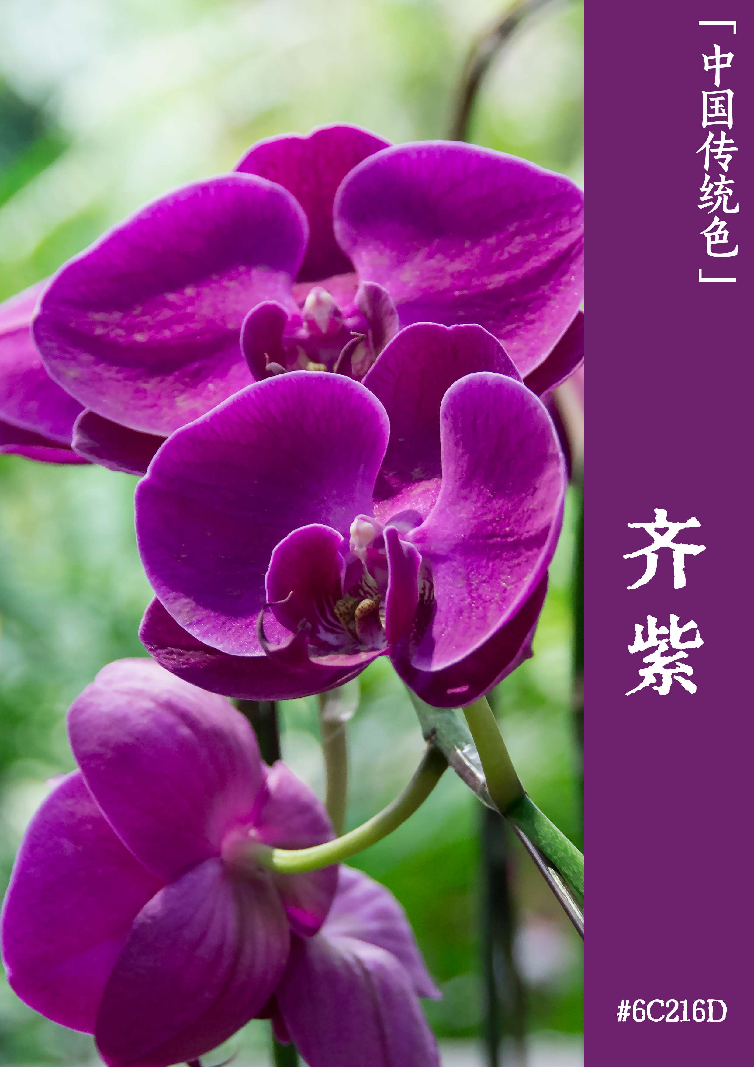 紋繡培訓班學費_紋繡培訓班學費多少_紋繡培訓班價目表