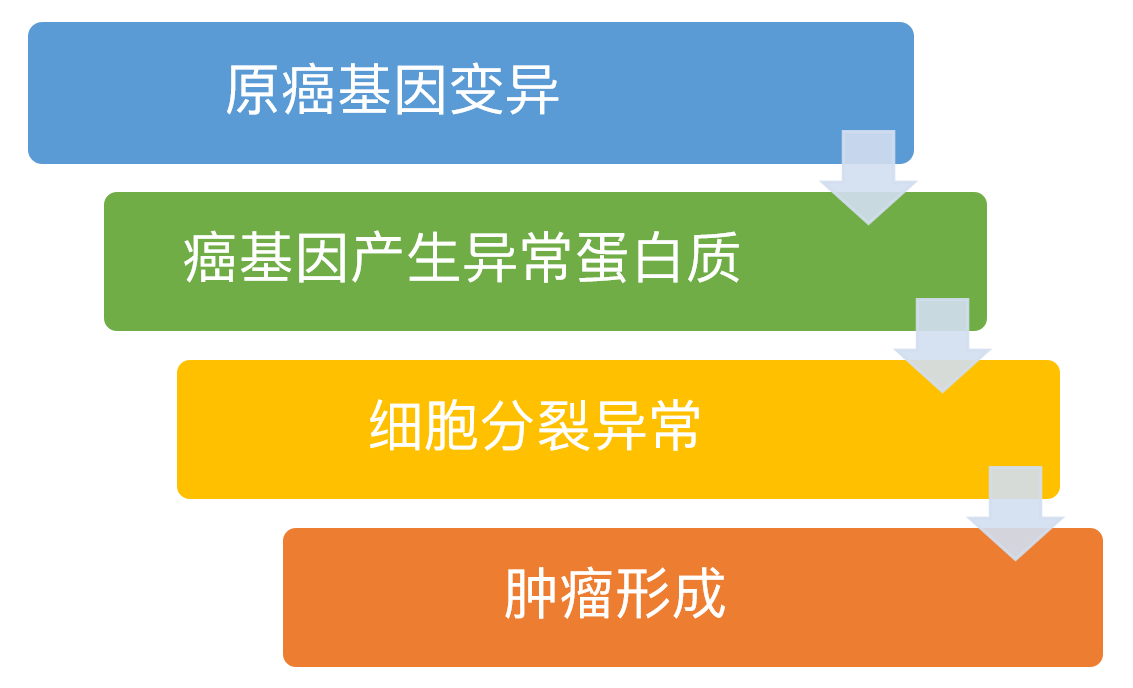 廣東高校人才網_廣東省高校人才招聘網最新招聘_廣東高校人才網官網