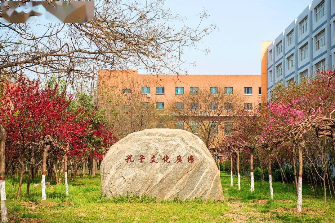 2024年石家莊市中考分?jǐn)?shù)線_2021中考分?jǐn)?shù)線石家莊市_今年中考石家莊分?jǐn)?shù)線