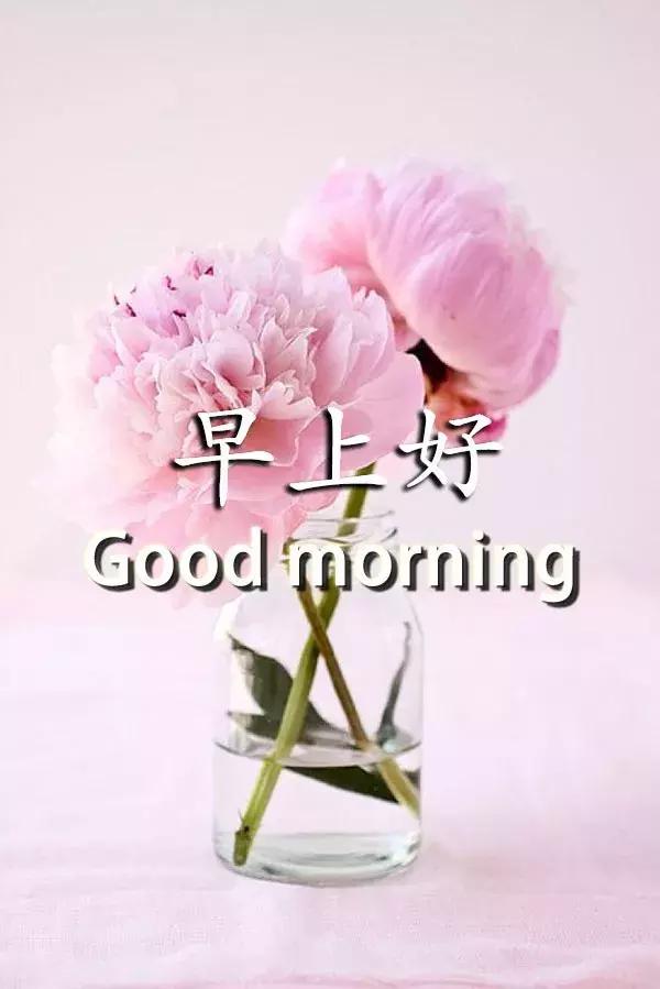 新疆移動彩鈴官網(wǎng)_新疆移動彩鈴_新疆移動彩鈴網(wǎng)站12530
