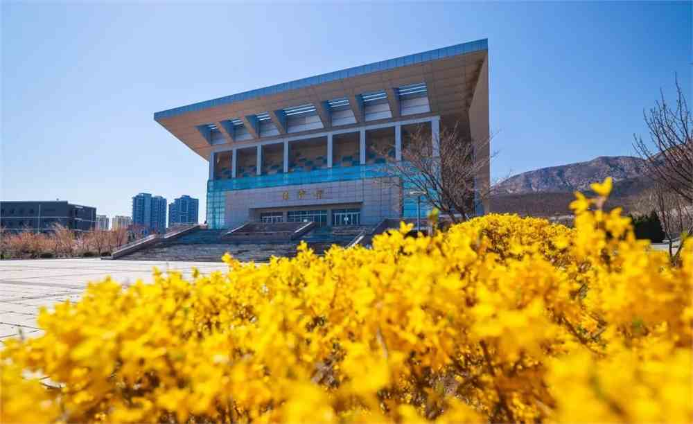 大連工業藝術與信息學院怎么樣_大連工業大學藝術與信息學院官網_大連工業學院藝術與信息工程