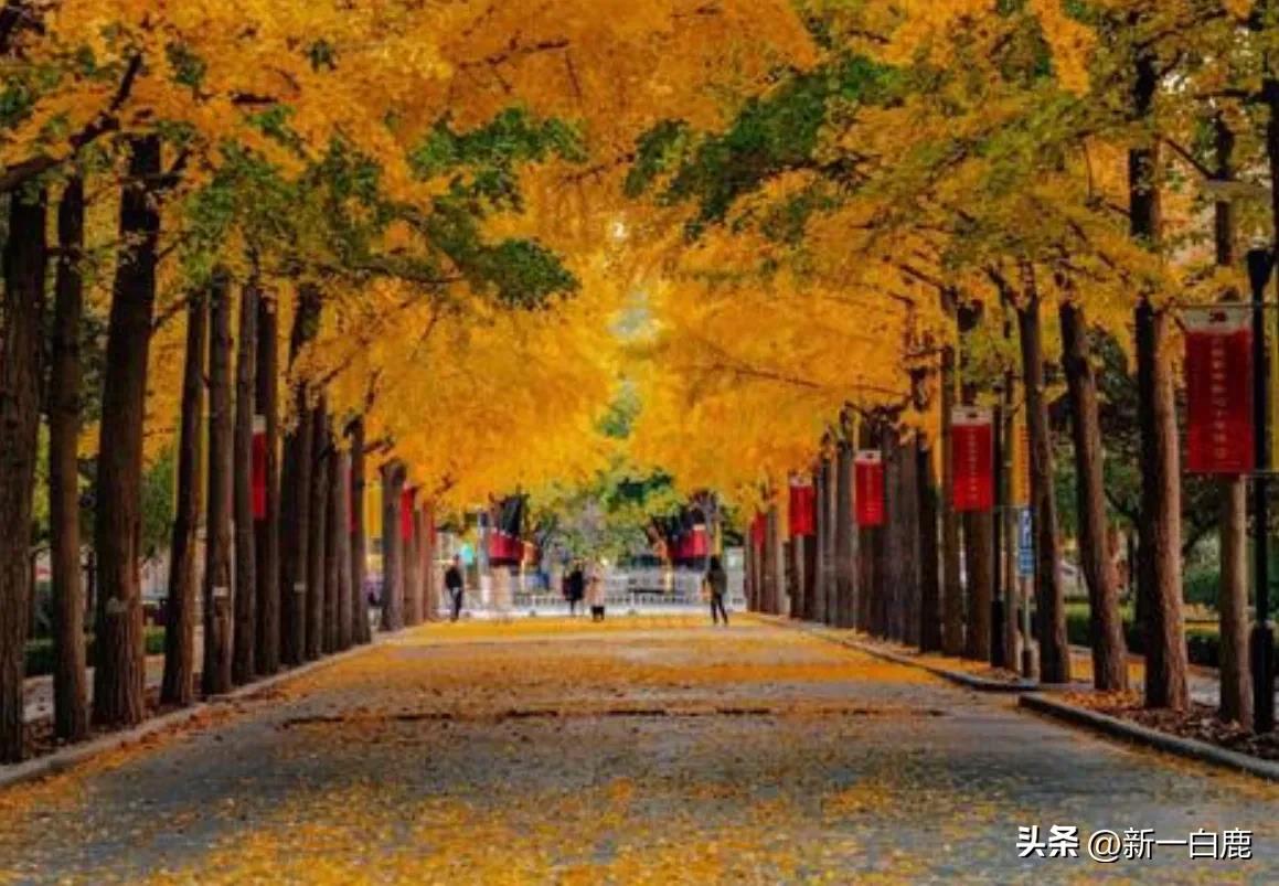 理科400多分大學_440分理科能上什么大學_理科440分的所有大學