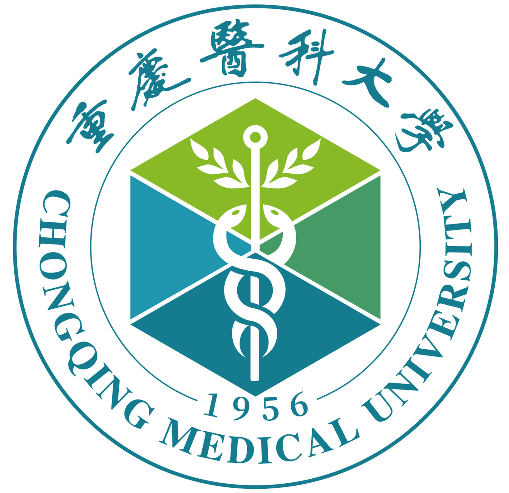 2024年重慶醫科大學專科分數線_重慶醫科大學專科2021_重慶醫科大學專科批分數線