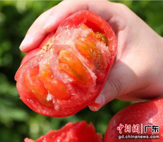 幾點(diǎn)打春第一個(gè)春2024_春打春牛_春打春是什么意思