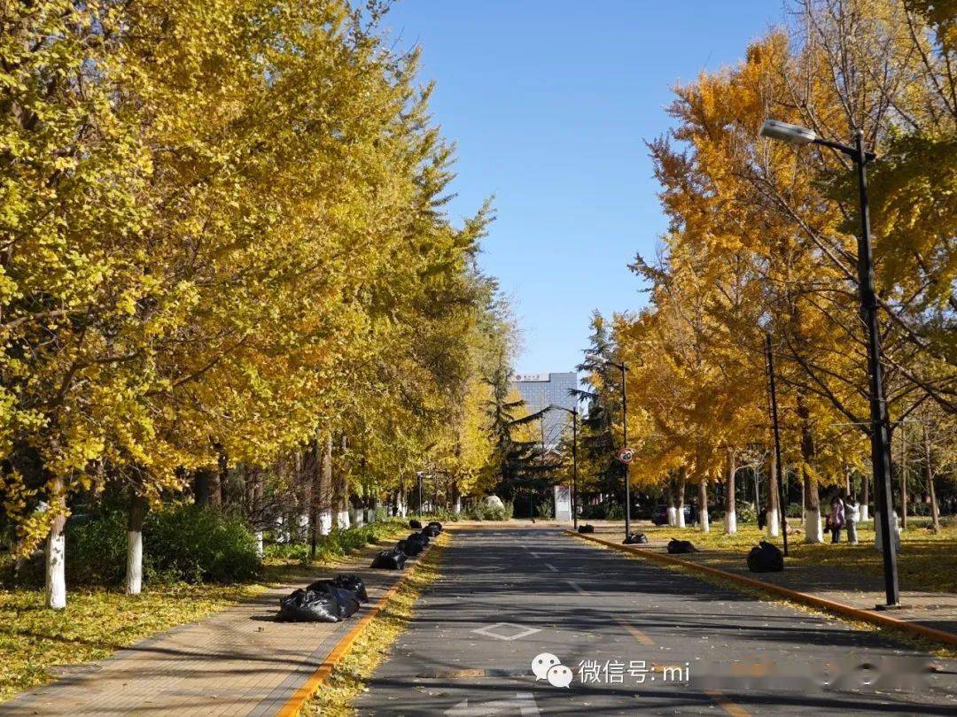 山西省招生辦公室電話_山西省招生辦電話_山西省招生辦電話2020