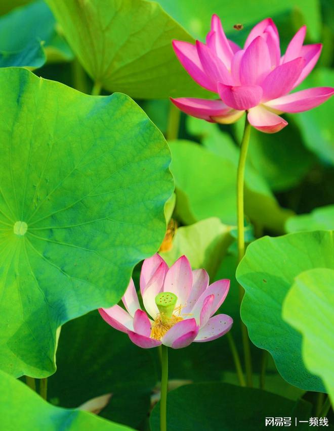 萍鄉學校教務處_萍鄉高專教務管理系統_教務系統管理系統萍鄉學院
