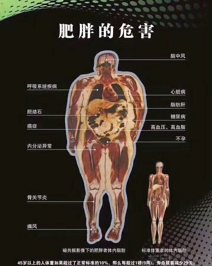 北京精華學校貼吧_北京精華學校全稱_北京精華學校