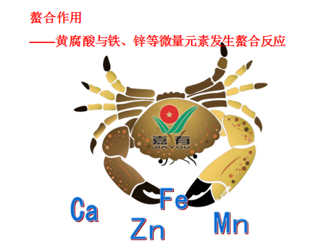 大腸桿菌是真核還是原核_大腸桿菌原核還是真核_大腸桿菌是什么核細胞