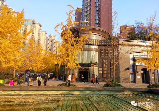 紫金教育網地址和入口_紫金教育網站_紫金教育資訊網